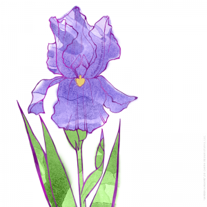 Garden Sunshine "Iris" design by Charm Design Studio, LLC.