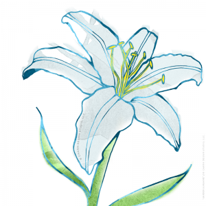 Garden Sunshine "Lily" design by Charm Design Studio, LLC.