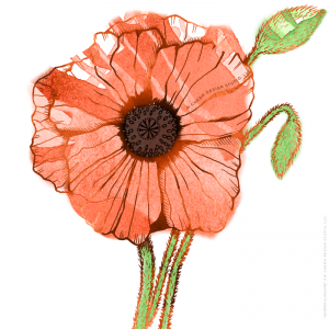 Garden Sunshine "Poppy" design by Charm Design Studio, LLC.