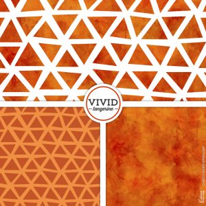 Vivid collection - "Tangerine" by Charm Design Studio