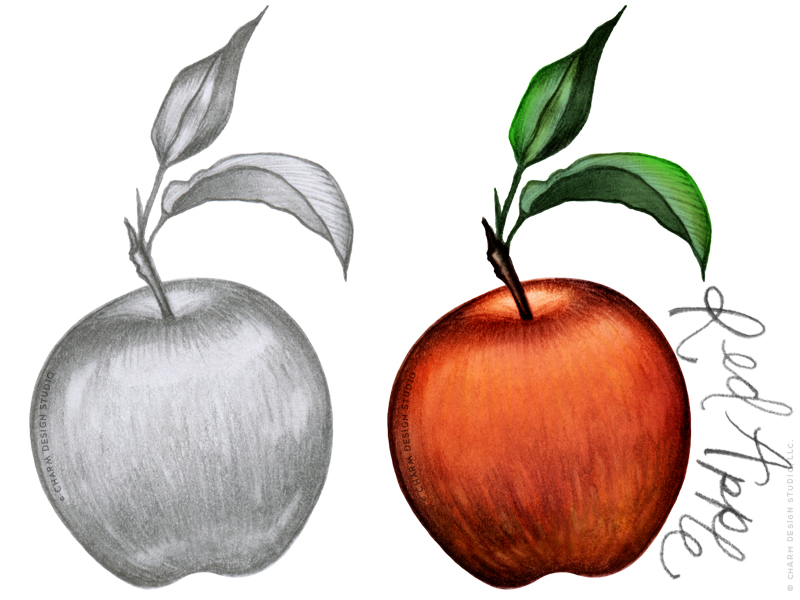 Apple illustration in the Farmers' Market design by Charm Design Studio